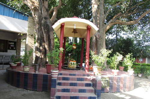 Cultural Activities &mdash; Divya Prem Sewa Mission, Haridwar