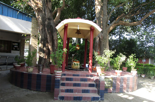Cultural Activities &mdash; Divya Prem Sewa Mission, Haridwar