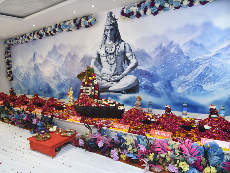 Divyeshwar Dhyan Lingam Mandir — Divya Prem Sewa Mission, Haridwar