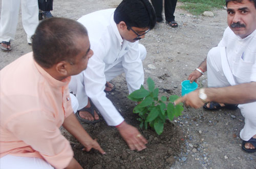 Harit Bharat Abhiyan — Divya Prem Sewa Mission, Haridwar