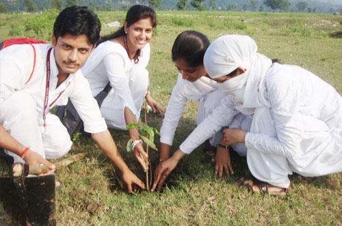 Harit Bharat Abhiyan — Divya Prem Sewa Mission, Haridwar