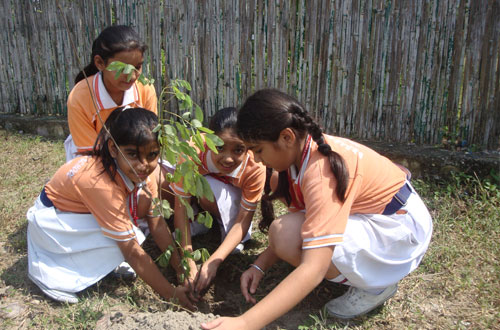 Harit Bharat Abhiyan — Divya Prem Sewa Mission, Haridwar