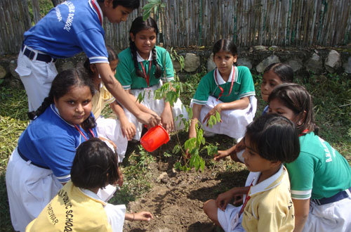 Harit Bharat Abhiyan — Divya Prem Sewa Mission, Haridwar