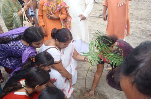 Harit Bharat Abhiyan — Divya Prem Sewa Mission, Haridwar