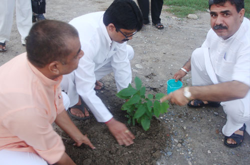 Harit Bharat Abhiyan — Divya Prem Sewa Mission, Haridwar