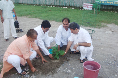 Harit Bharat Abhiyan — Divya Prem Sewa Mission, Haridwar