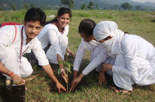 Harit Bharat Abhiyan — Divya Prem Sewa Mission, Haridwar