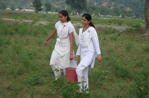 Harit Bharat Abhiyan — Divya Prem Sewa Mission, Haridwar