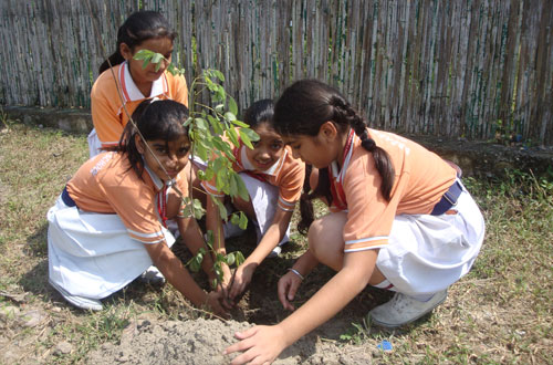 Harit Bharat Abhiyan — Divya Prem Sewa Mission, Haridwar
