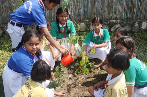 Harit Bharat Abhiyan — Divya Prem Sewa Mission, Haridwar