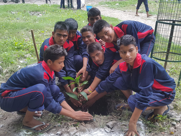 Harit Bharat Abhiyan — Divya Prem Sewa Mission, Haridwar