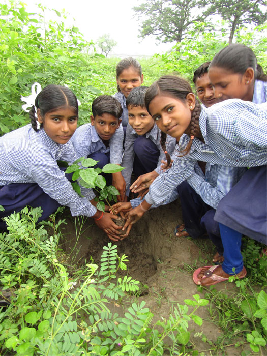 Harit Bharat Abhiyan — Divya Prem Sewa Mission, Haridwar