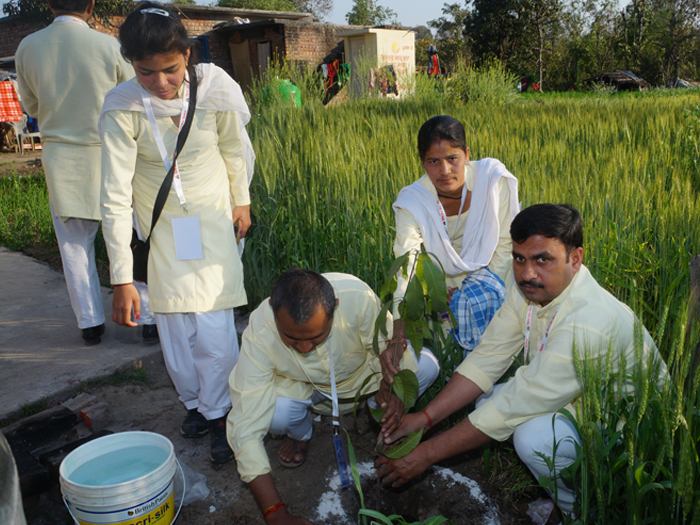 Harit Bharat Abhiyan — Divya Prem Sewa Mission, Haridwar
