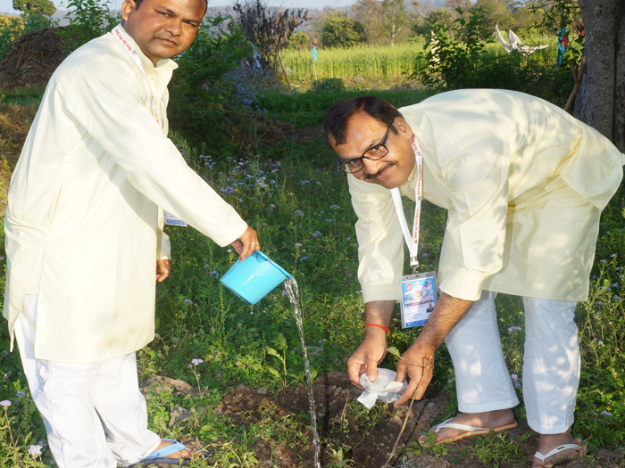 Harit Bharat Abhiyan — Divya Prem Sewa Mission, Haridwar