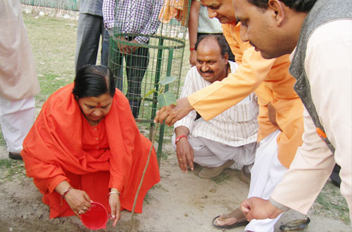 Harit Bharat Abhiyan — Divya Prem Sewa Mission, Haridwar