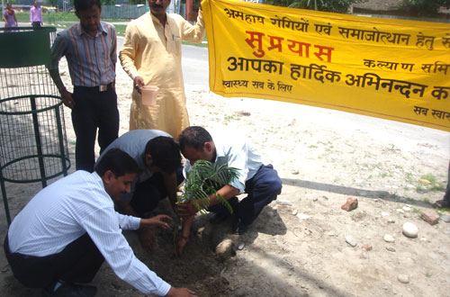 Harit Bharat Abhiyan — Divya Prem Sewa Mission, Haridwar