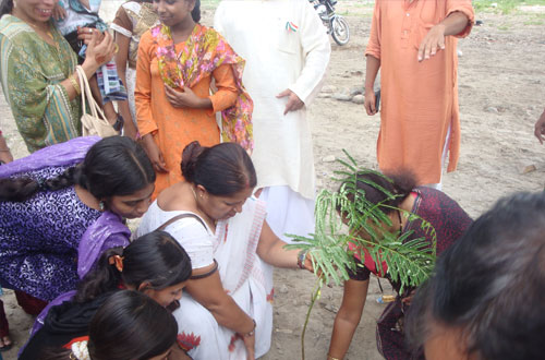 Harit Bharat Abhiyan — Divya Prem Sewa Mission, Haridwar