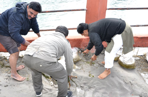 Nirmal Ganga Swach Bharat Abhiyan — Divya Prem Sewa Mission, Haridwar