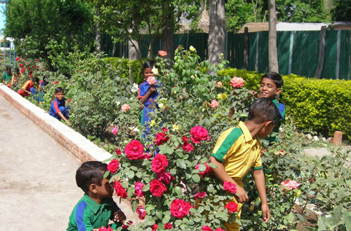 Pradeep Vatika (Boys Hostel) — Vandematram Kunj, Divya Prem Sewa Mission, Haridwar